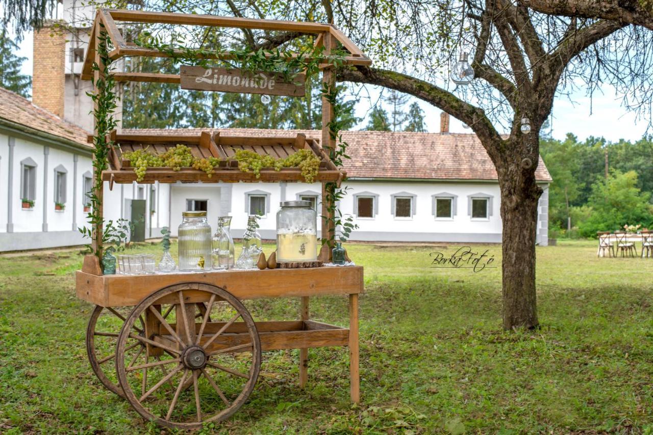 Green Paradise Vendeg Es Rendezvenyhaz Daire Szentpeterfa Dış mekan fotoğraf