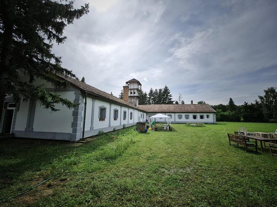 Green Paradise Vendeg Es Rendezvenyhaz Daire Szentpeterfa Dış mekan fotoğraf