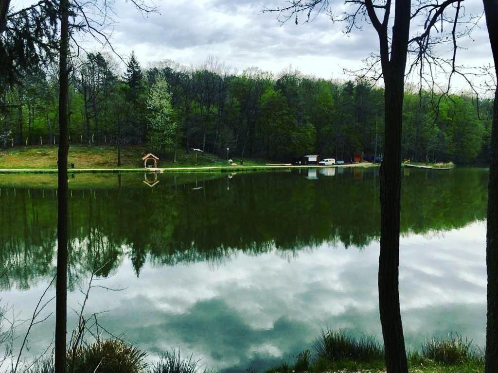 Green Paradise Vendeg Es Rendezvenyhaz Daire Szentpeterfa Dış mekan fotoğraf